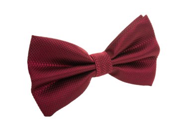 erkek kravat kelebek izole 