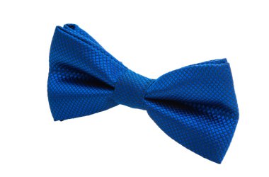 erkek kravat kelebek izole 