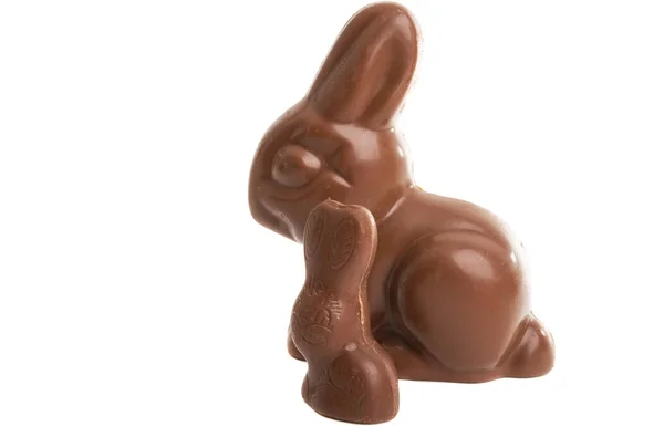 Lapin chocolat isolé — Photo