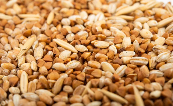 Fondo cerealicolo primo piano — Foto Stock