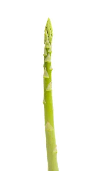 Spargel isoliert — Stockfoto