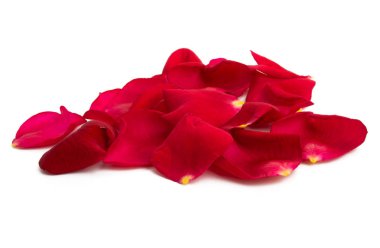 kırmızı gül yaprakları 