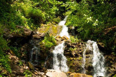 yaz aylarında dağlardan akan şelale