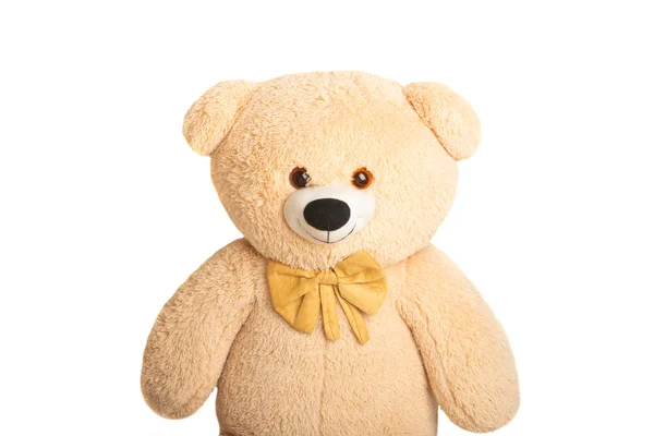 М'який іграшковий ведмідь ізольований — стокове фото