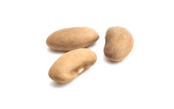 Kacang kering terisolasi — Stok Foto