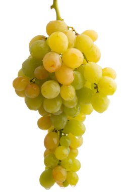 izole üzüm demet 