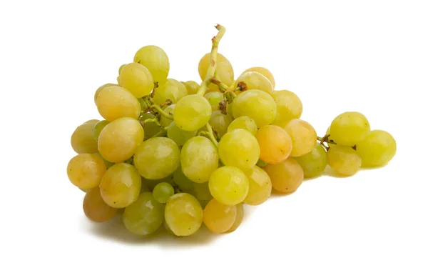 Bunch of grapes isolated — Stock Photo, Image