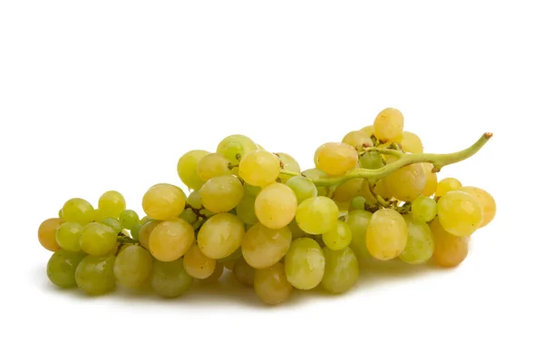 Грона винограду ізольовані — стокове фото