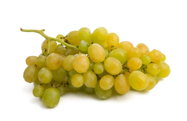 Bunch of grapes isolated — Stock Photo, Image