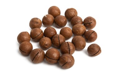 Macadamia cevizleri izole edilmiş. 