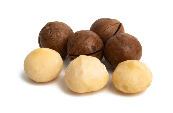 Nueces de macadamia aisladas —  Fotos de Stock