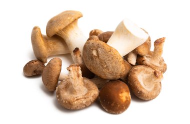 Beyaz arka planda izole edilmiş Şiitake mantarları