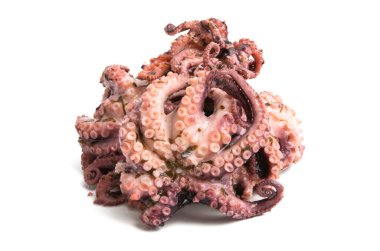 Ahtapot beyaz arkaplanda izole edildi