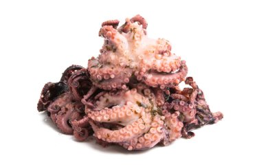 Ahtapot beyaz arkaplanda izole edildi