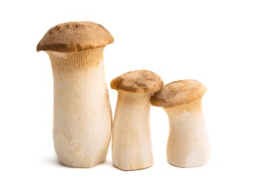 eringi mantarları beyaz arkaplanda izole edilmiş