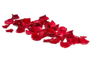 Beyaz arkaplanda kırmızı gül yaprakları izole