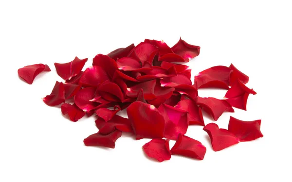 Red Rose Petals Isolated White Background Stock Image