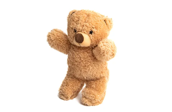 Мягкая Игрушка Медведь Изолирован Белом Фоне — стоковое фото