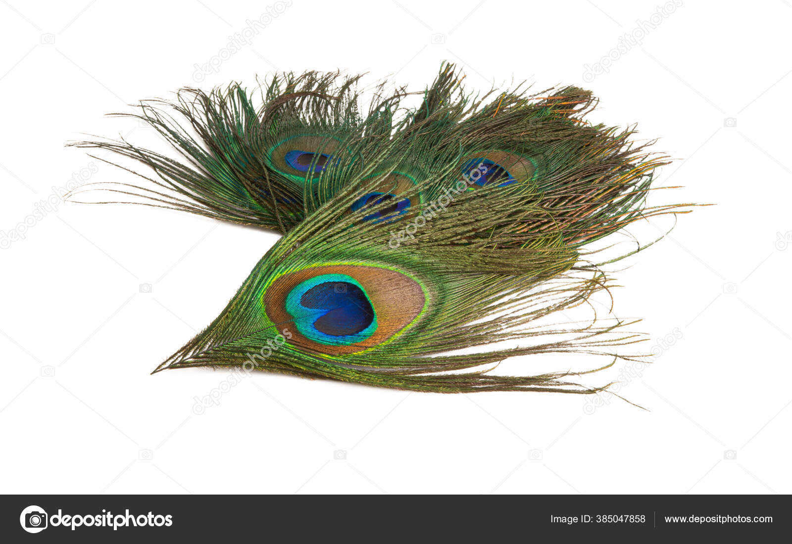 Geometric Stylized Eye Of Peacock Feather Vector Illustration Royalty Free  SVG, Cliparts, Vectors, and Stock Illustration. Image 177445737., image size:1600x1100