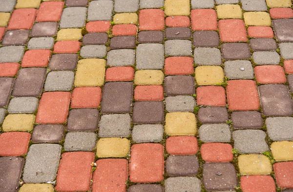 Background Colored Paving Tiles — Stock Photo, Image