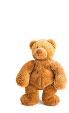 yumuşak oyuncak ayı ve beyaz arka planda izole