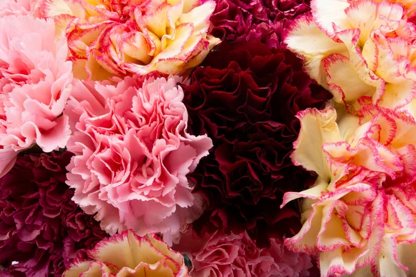 Beautiful Bouquet Mix Carnations Isolated White Background — Stock Photo, Image
