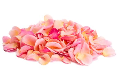 Beyaz arkaplanda izole edilmiş pembe gül yaprakları