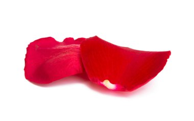 Beyaz arkaplanda kırmızı gül yaprakları izole