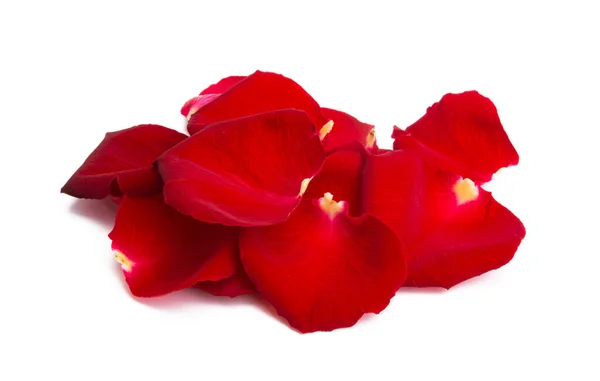 Czerwone Płatki Róż Izolowane Białym Tle — Zdjęcie stockowe