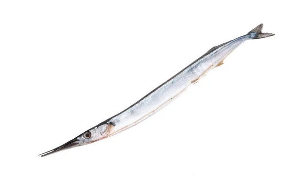 在白色背景上分离的鲜鱼石斑鱼 — 图库照片