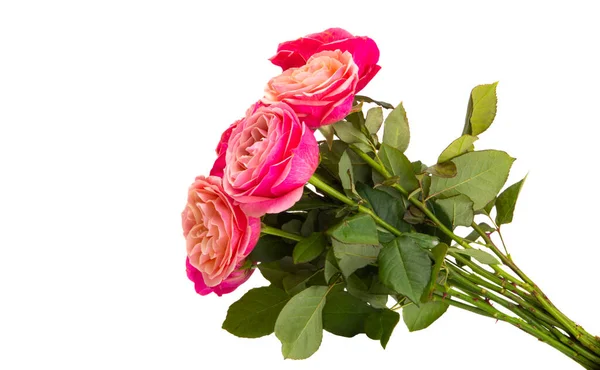 Bouquet Pink Roses Isolated White Background — Stock Photo, Image