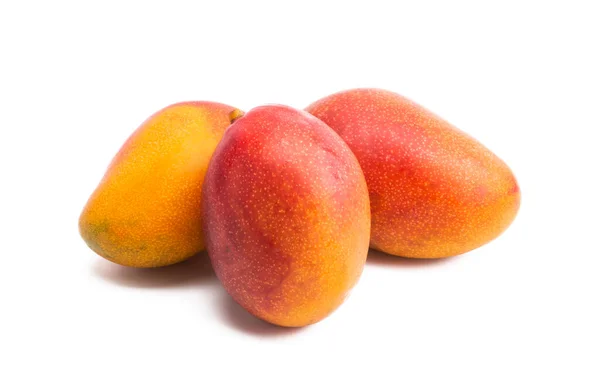 Mango Isolato Fondo Bianco — Foto Stock