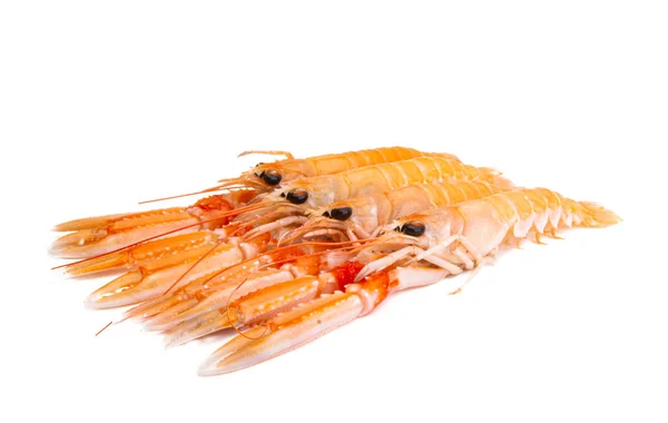 Homard Bouilli Isolé Sur Fond Blanc — Photo