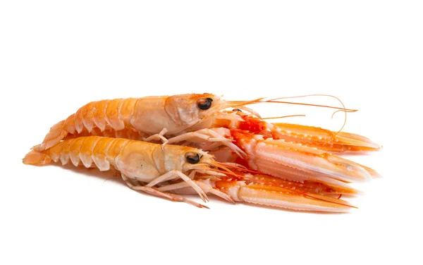 Lobster Rebus Diisolasi Pada Latar Belakang Putih — Stok Foto