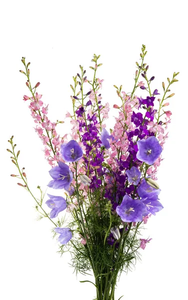 Boeket Van Weide Bloemen Geïsoleerd Witte Achtergrond — Stockfoto