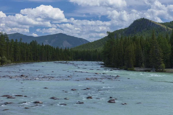 Altai Flussargut Wunderschöne Hochlandlandschaft Russland Sibirien — Stockfoto