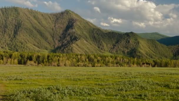 Altai Wunderschöne Hochlandlandschaft Russland Sibirien Zeitraffer — Stockvideo