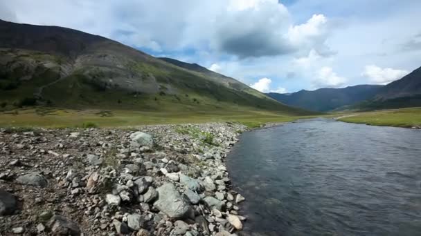 Montañas Altai Río Dara Hermoso Paisaje Montañoso Rusia Siberia — Vídeo de stock