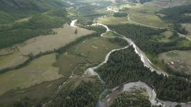 Dağ Nehri Hızlı Akarsu Rusya Altai — Stok video