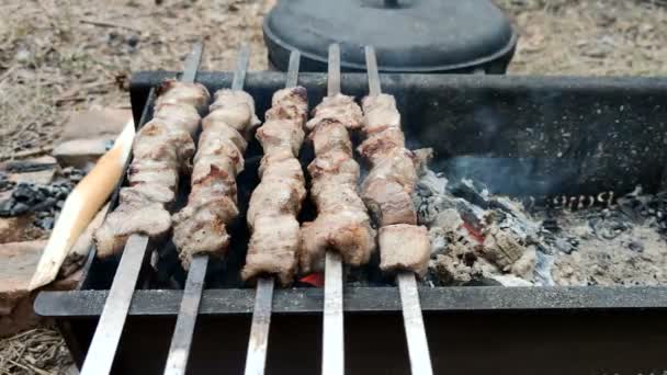 Voorbereiding Van Shish Kebab Brazier — Stockvideo