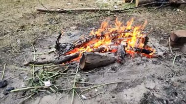 Ormanda yangın var. Açık hava manzarası. yavaş çekim