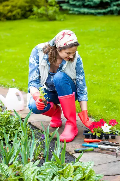 beautiful middle aged woman plants flowers in the garden