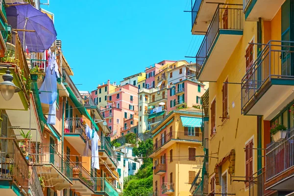 Street and houses in Manarola