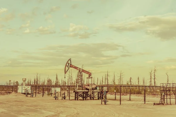 Jack pompa. Petrol çıkarımı. Petrol kavramı. — Stok fotoğraf