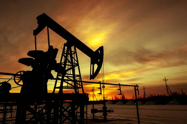 Pump jack. Extraction of oil. Petroleum concept. — Stock Photo, Image