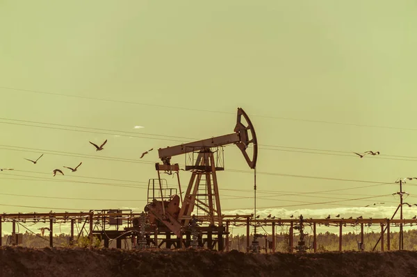 Pumpjack ropy, průmyslových zařízení. Houpací stroje na moc genertion. Těžba ropy. Ropné koncept. — Stock fotografie