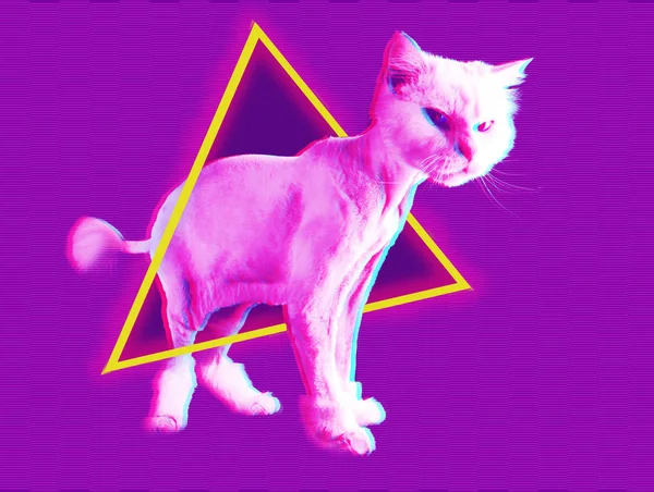 Pembe kedi. Retro dalga synth vaporwave portre komik bir kedi. Memphis tarzı posterler kavramı. — Stok fotoğraf