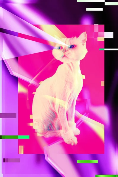 Gato rosa. Retro onda synth vaporwave retrato de um gato engraçado. Conceito de cartazes estilo memphis . — Fotografia de Stock