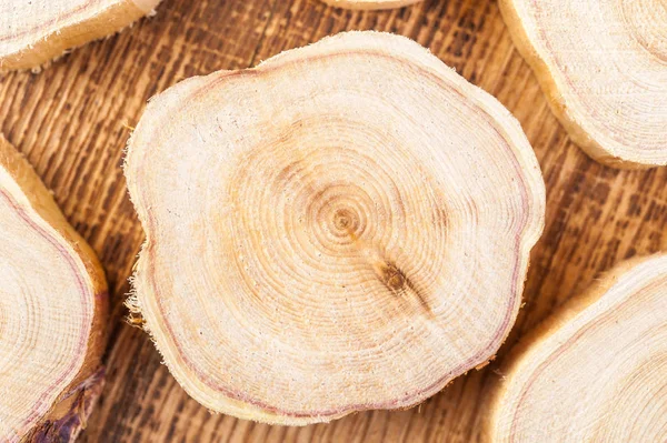 Struttura del legno di ginepro a sezione trasversale. Modello di sfondo tronco d'albero. Cerchi fetta di ginepro . — Foto Stock