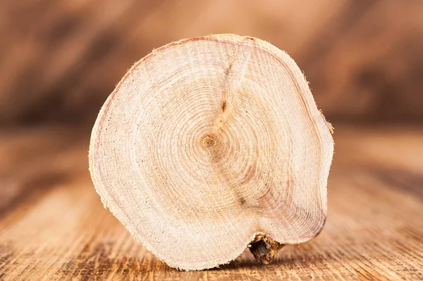 Struttura del legno di ginepro a sezione trasversale. Modello di sfondo tronco d'albero. Cerchi fetta di ginepro . — Foto Stock